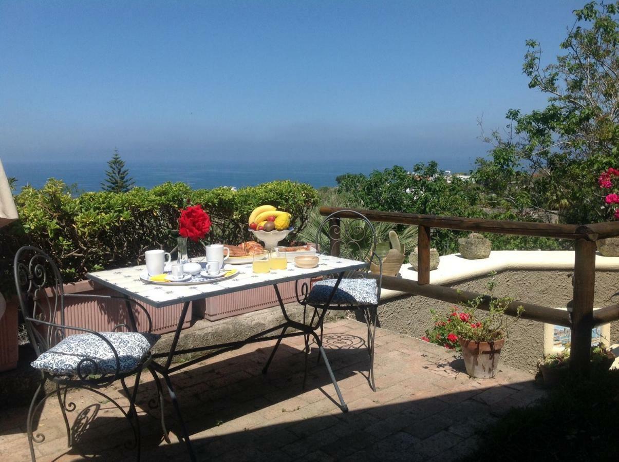Bed and Breakfast La Terrazzina Sul Tramonto Forio di Ischia Exterior foto